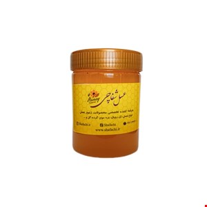 عسل بهارنارنج ۵۰۰ گرمی