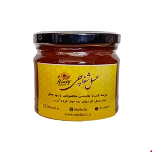 عسل رازیانه ۴۰۰ گرمی