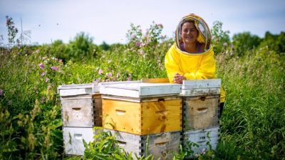 ممانعت دولت کانادا از عرضه ی عسل تقلبی