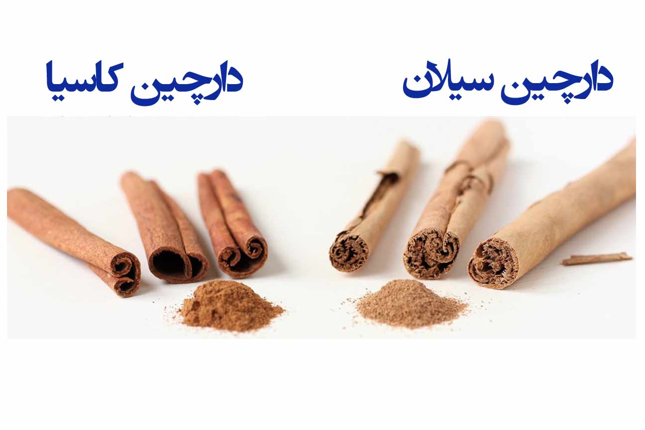 مقایسه دارچین کاسیا و سیلان